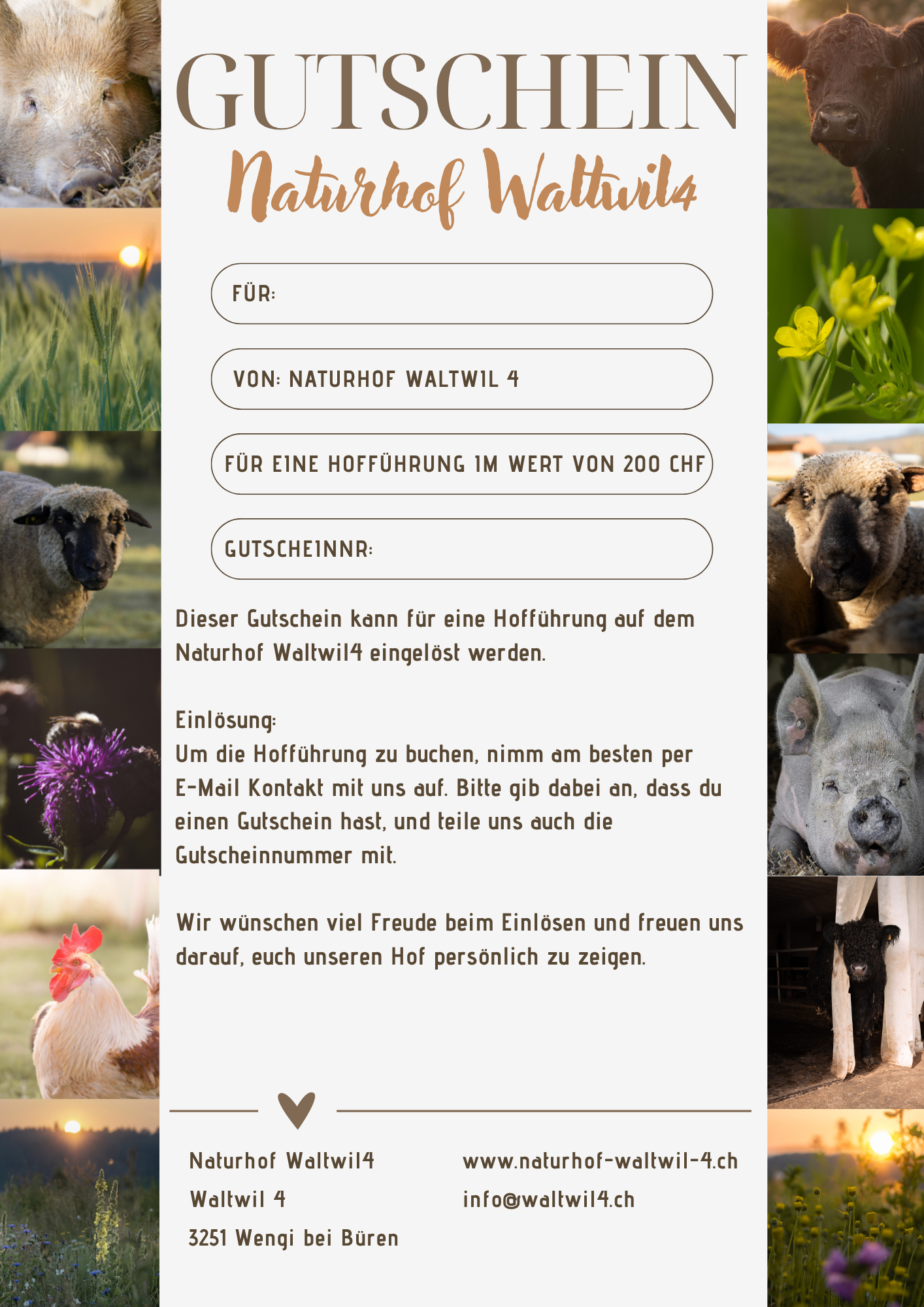 Ein Stück Naturhof zum Kennenlernen (inkl. Hofführung-Gutschein) – Bild 2